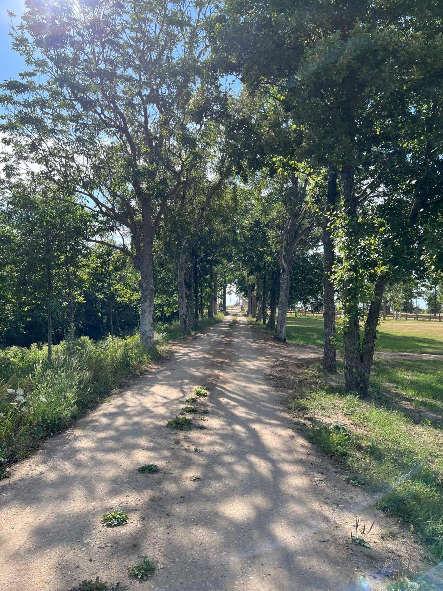 Viesuli Village Villas Saraiķi Buitenkant foto